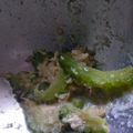 まりゆりひろこ's cooksnap of when they made 苦くない！ゴーヤとツナの和え物.
