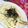 ｷﾜﾐ's cooksnap of when they made 明太カルボうどん.