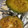 クックU3PCQ1☆'s cooksnap of when they made アボカドのわさマヨグラタン.
