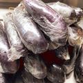 ムッぴょん's cooksnap of when they made なすの保存方法。.