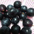 ﾋﾟﾛﾐ♡'s cooksnap of when they made 巨峰を長持ちさせる保存方法。お弁当にも！.