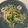 クック81NK9U☆'s cooksnap of when they made 下味しっかり☆レバニラ炒め！.