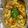 Dai・S‐tai's cooksnap of when they made タマゴタケのホイル焼き.