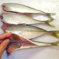 White☆Lily's cooksnap of when they made さんまのお刺身～さんまのさばき方～.