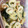 クック92HDN7☆'s cooksnap of when they made 簡単‼ワカメとちくわの辛子酢味噌.