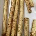 わたるんママ's cooksnap of when they made 裏ワザ☆ごぼうの長期保存(れんこんも可).