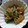 TYSK's cooksnap of when they made れんこんといんげんのきんぴら.
