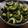 leezoo's cooksnap of when they made 爽やか♪苦くない☆ゴーヤの漬物☆.