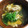ｂｅｒｒｙ＋'s cooksnap of when they made 舞茸と卵の澄まし汁❀.