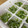 れでよと's cooksnap of when they made 離乳食☆しらすとピーマンのさっと煮.