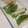 きらり流れ星's cooksnap of when they made 竹輪のしそチーズ挟み☆梅マヨソース.