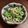 四児のハハ's cooksnap of when they made 簡単☆ゴーヤと竹輪のサラダ.