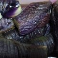あっひーさん's cooksnap of when they made めんつゆで簡単★なすのヘルシー煮浸し.