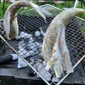 papikun's cooksnap of when they made ヤマメ (山女) の塩焼き.