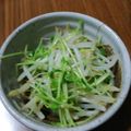ramieru's cooksnap of when they made もやしと豆苗のナムル.