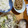 くうandホームズ's cooksnap of when they made ご飯がススム♪蓮根はさみ焼き☆.