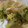 あゆたっくん's cooksnap of when they made 玉ねぎと厚揚げの甘辛煮.