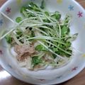 hanemakoo's cooksnap of when they made 大根とツナのマヨポンサラダ.