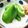 SUNMOONMOM's cooksnap of when they made 冷やすだけ！苦くない☆パリパリピーマン.