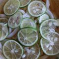 めぐみんキッチン♪'s cooksnap of when they made すだち麺～うどん・素麺・蕎麦なんでもＯＫ.