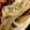 MULA's cooksnap of when they made 簡単★海苔の佃煮で絶品もやし♪.