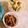 mack♪♪♪'s cooksnap of when they made 胡瓜とキャベツのシャキシャキサラダ！.