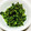 コネコリン's cooksnap of when they made 思い出の味、義理母の大根菜の味噌炒め.