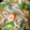 ｾﾆｮ〜ﾙ☆'s cooksnap of when they made いかとエビと野菜のあっさり塩炒め.