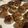 クックO3T7LN☆'s cooksnap of when they made （健康づくり）きのこのハンバーグ.