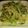 クックIWTHJZ☆'s cooksnap of when they made 居酒屋風♡豆苗もやし炒め.