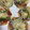 クック2H9MD0☆'s cooksnap of when they made あおさとしらすのピザ.