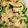 jonthon's cooksnap of when they made ゴーヤのおひたし☆ 麺つゆver..