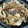 くりすたるけいこ's cooksnap of when they made 焼き鯖ときのこの炊き込みご飯.
