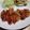 和☆2049's cooksnap of when they made 厚切り豚ロース焼き～✴️マヨ醤油編✴️.