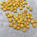 かと's cooksnap of when they made 犬用かぼちゃクッキー.