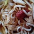 アキラ♀'s cooksnap of when they made ＊梅干しと油揚げネギのうどん.