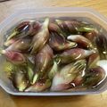 ぷち★まかろん's cooksnap of when they made ミョウガの保存方法.