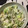 おはなすき's cooksnap of when they made 茹でキャベツとしらすと油揚げのサラダ.