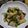 和☆2049's cooksnap of when they made 筍と豚肉とピーマンの炒め物.