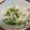 papikun's cooksnap of when they made 簡単♪すだちおろしうどん☆.