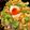 ポムポムポヨコ's cooksnap of when they made 納豆オクラそば.