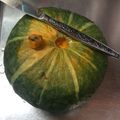 ほもさぴくろまによん's cooksnap of when they made 大発明・丸ごとかぼちゃの切り方.