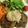 クック5T236M☆'s cooksnap of when they made そら豆を使わないターメイヤ.