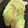 わんあみ's cooksnap of when they made 旬のとろ茄子☆レンジで簡単蒸し☆.