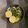 みれきちゃん♪'s cooksnap of when they made 万能！瀧の泉甘酒醤油ダレで味卵♪.