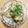 みなあゆママ's cooksnap of when they made 野菜かき揚げぶっかけそうめん.