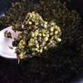 みよ～'s cooksnap of when they made 青じその実の佃煮.