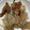 たべたべこ's cooksnap of when they made スタミナ抜群！レバーともやしの炒め物.