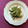 ブランディ's cooksnap of when they made いんげんの練りごま和え.