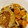 Ysfk's cooksnap of when they made ＊和風煮込みハンバーグ＊.